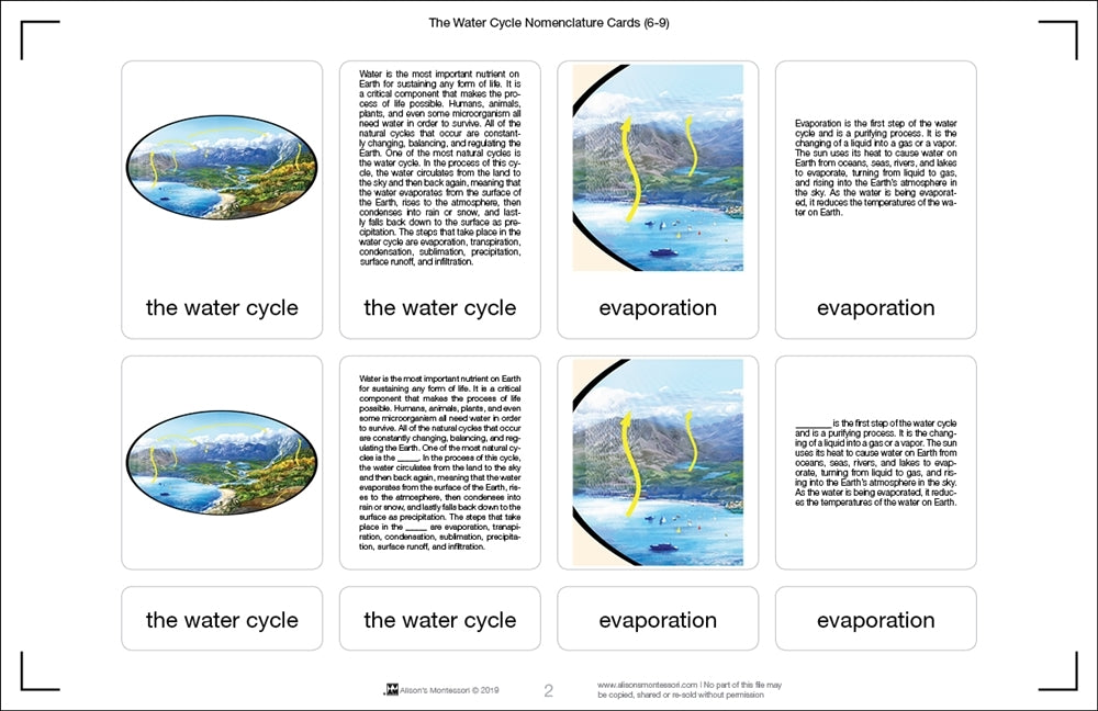 The Water Cycle Puzzle with Nomenclature Cards (6-9)