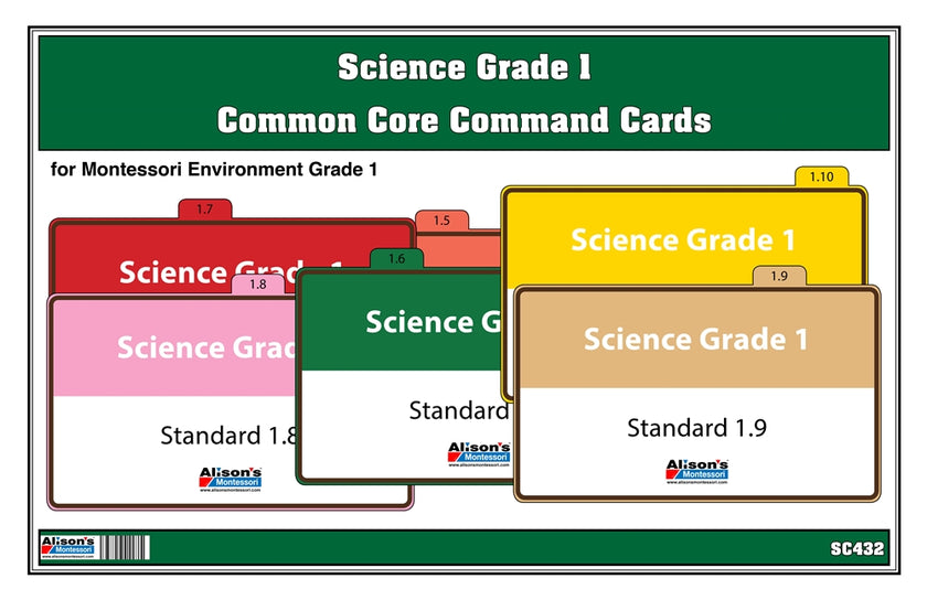 Science Grade 1 Task Cards