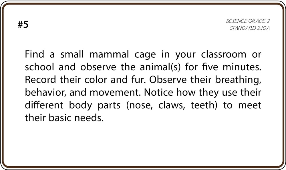 Science Grade 2 Task Cards