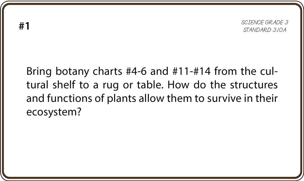 Science Grade 3 Task Cards