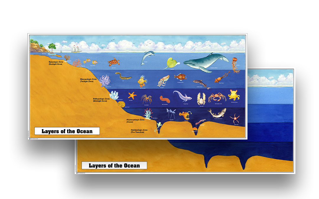 Layers of the Ocean Chart