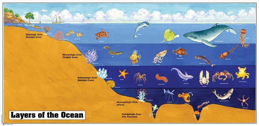 Layers of the Ocean Chart
