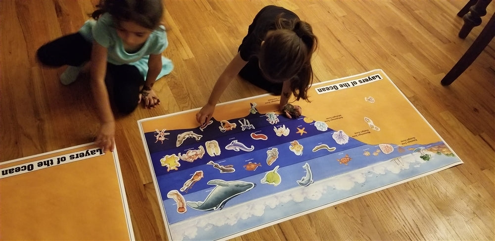 Layers of the Ocean Chart
