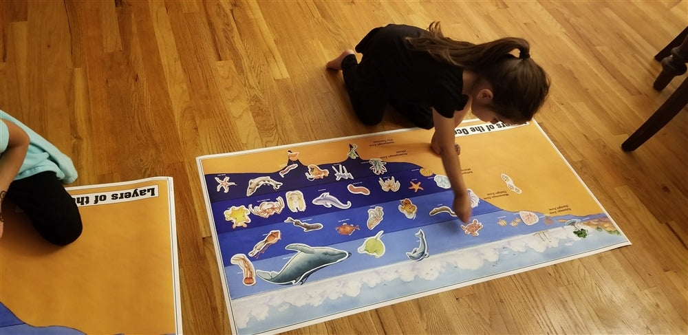 Layers of the Ocean Chart
