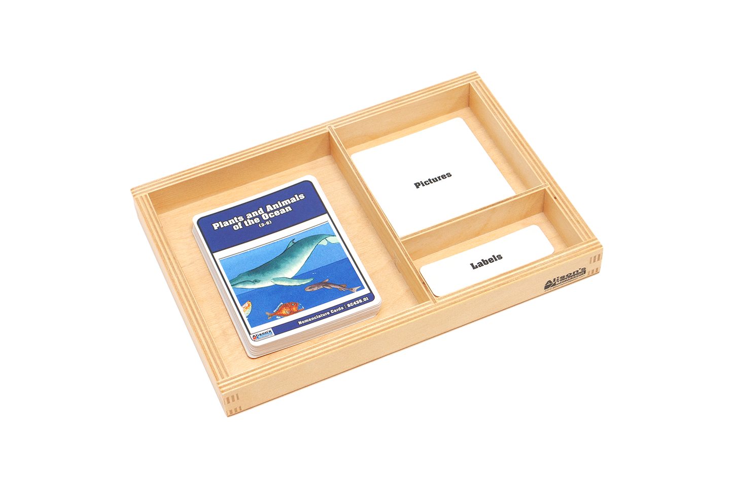 Plants & Animals of the Ocean Nomenclature Cards (3-6)