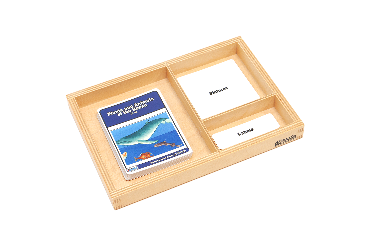 Plants & Animals of the Ocean Nomenclature Cards (3-6)