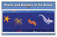 Plants & Animals of the Ocean Nomenclature Cards (3-6)
