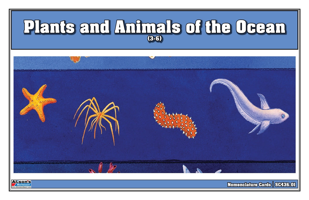 Plants & Animals of the Ocean Nomenclature Cards (3-6)