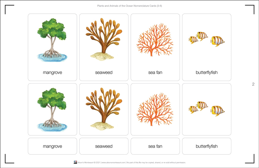 Plants & Animals of the Ocean Nomenclature Cards (3-6)