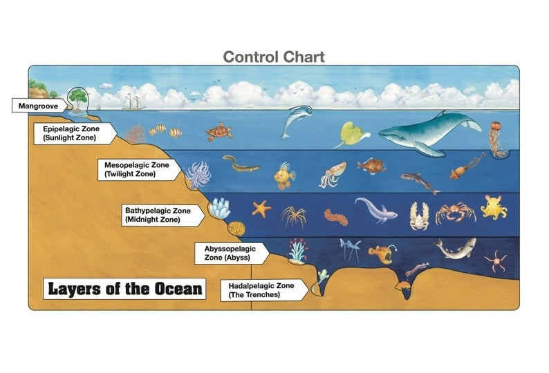Layers of the Ocean Puzzle with Nomenclature Cards (3-6) (Printed)