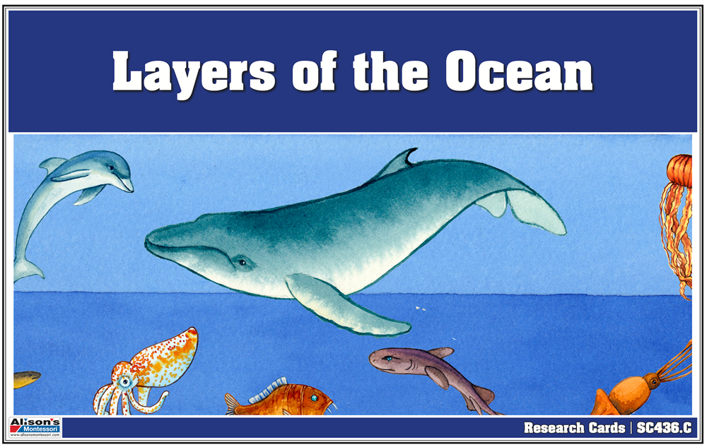 Layers of the Ocean Puzzle with Research Cards