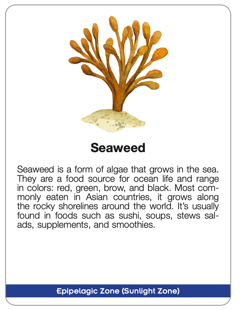 Layers of the Ocean Puzzle with Research Cards