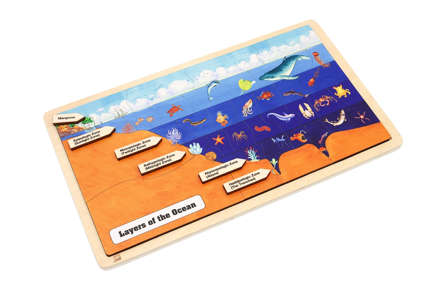 Layers of the Ocean Puzzle