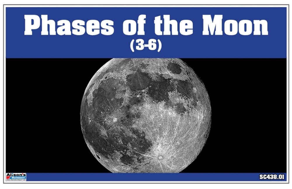 Phases of the Moon Nomenclature Cards 3- 6 (Printed)