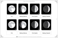 Phases of the Moon Nomenclature Cards 3- 6 (Printed)