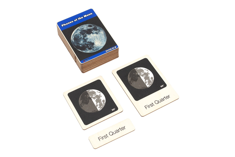 Phases of the Moon Wooden Nomenclature Cards (3-6)