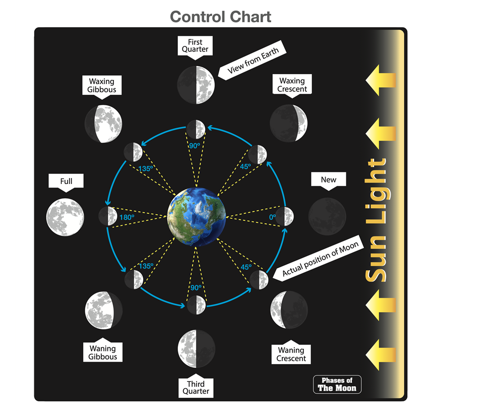 Phases of the Moon Puzzle with Nomenclature Cards (3-6)