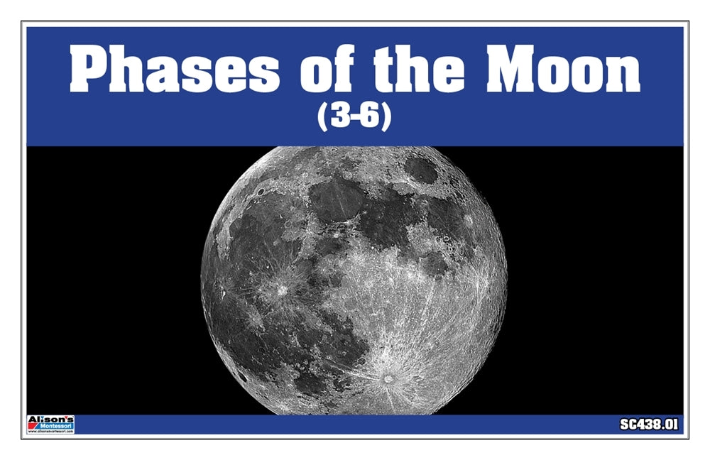 Phases of the Moon Puzzle with Nomenclature Cards (3-6)