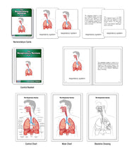 The Respiratory System Nomenclature Cards (6-9) (Printed)