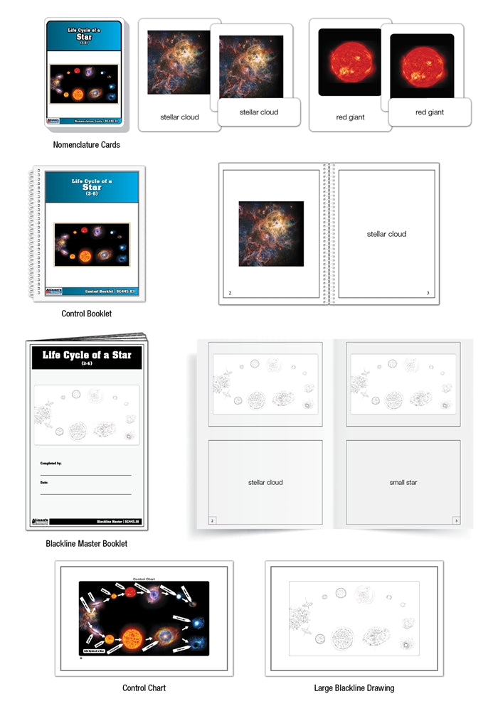 Life Cycle of a Star Nomenclature Cards (3-6)