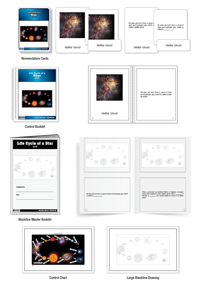 Life Cycle of a Star Nomenclature Cards (6-9)