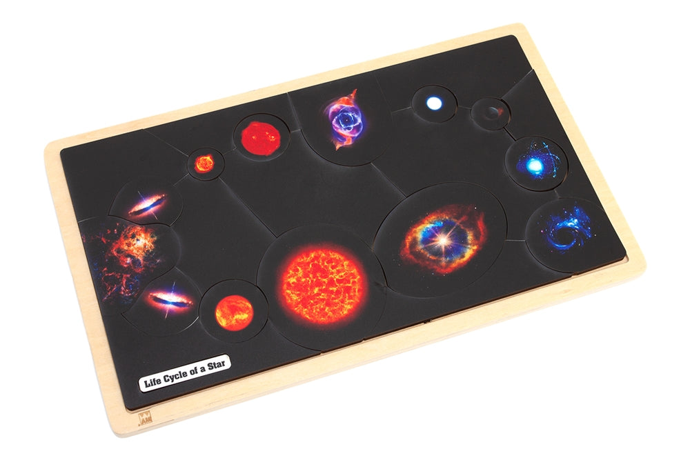 Life Cycle of a Star Puzzle with Nomenclature Cards (3-6)