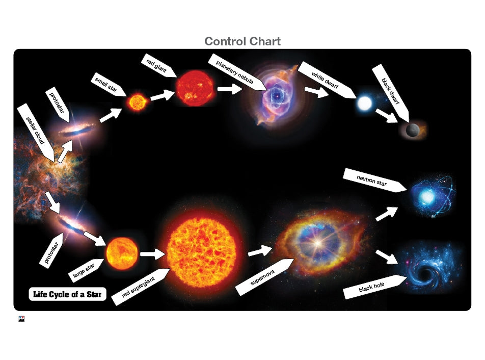 Life Cycle of a Star Puzzle with Nomenclature Cards (3-6)
