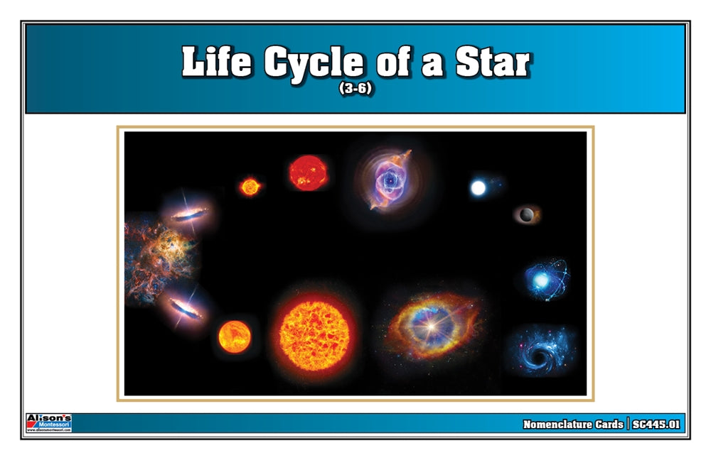 Life Cycle of a Star Puzzle with Nomenclature Cards (3-6)