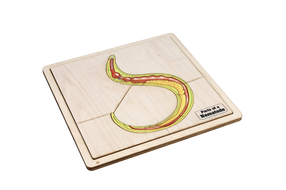 Parts of a Nematode Puzzle