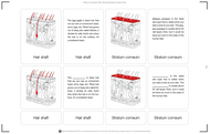 Parts of Human Skin Nomenclature Cards (6-9) Printed