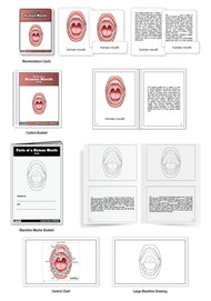 Parts of a Human Mouth Nomenclature Cards (6-9) (Printed)