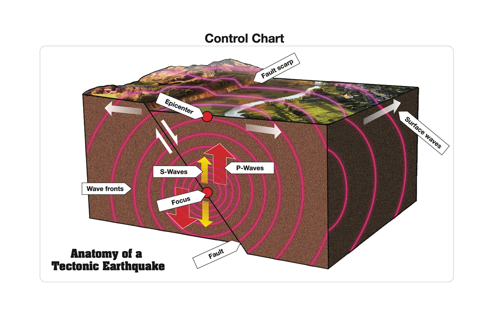 Anatomy of a Tectonic Earthquake Puzzle with Nomenclature Cards (6-9)