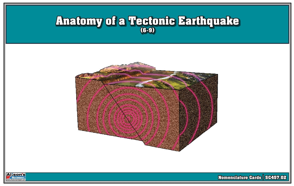 Anatomy of a Tectonic Earthquake Puzzle with Nomenclature Cards (6-9)
