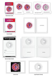 Parts of a Coronavirus Nomenclature Cards (3-6)