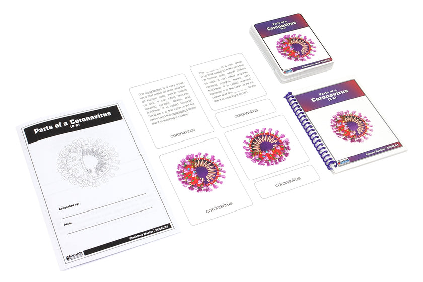 Parts of a Coronavirus Nomenclature Cards (6-9)