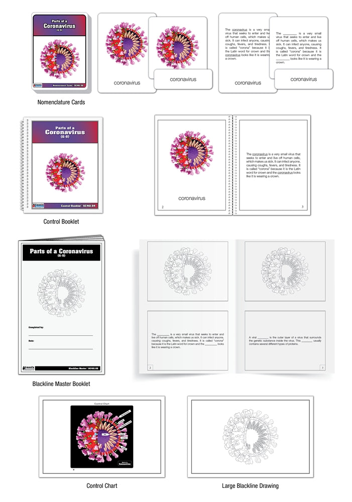 Parts of a Coronavirus Puzzle with Nomenclature Cards (6-9) (Printed)
