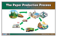 The Paper Production Process Nomenclature Cards (6-9) (Printed)