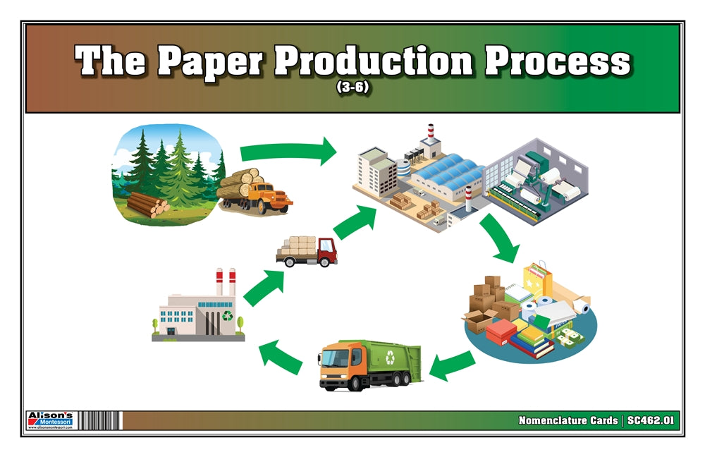 The Paper Production Process Puzzle with Nomenclature Cards (3-6) (Printed)