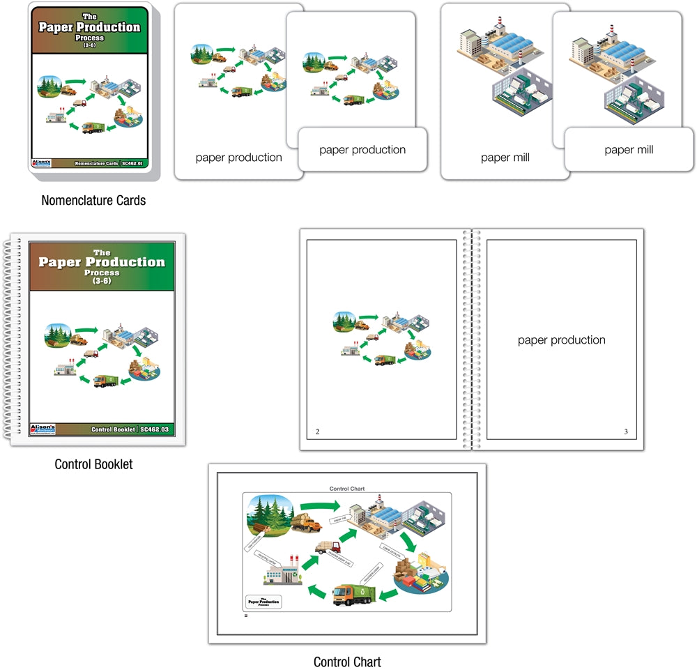 The Paper Production Process Puzzle with Nomenclature Cards (3-6) (Printed)