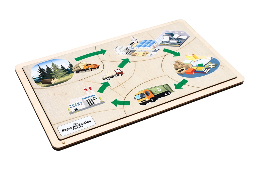 The Paper Production Process Puzzle with Nomenclature Cards (6-9) (Printed)