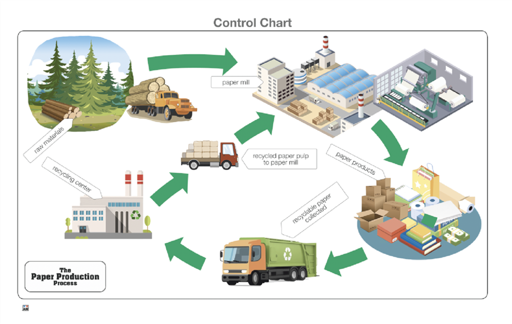 The Paper Production Process Puzzle with Nomenclature Cards (6-9) (Printed)