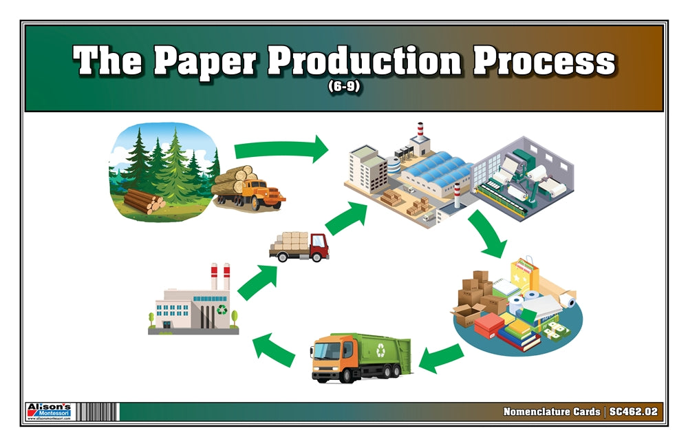 The Paper Production Process Puzzle with Nomenclature Cards (6-9) (Printed)