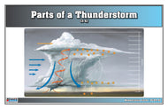 Parts of a Thunderstorm (Nomenclature Cards) (3-6)