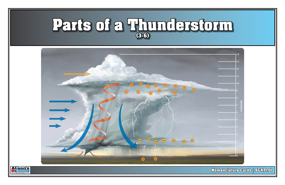 Parts of a Thunderstorm Puzzle with Nomenclature Cards (3-6)