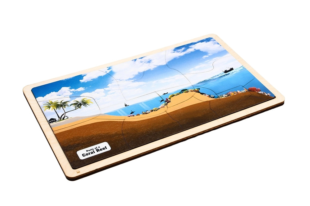 Parts of a Coral Reef Puzzle with Nomenclature Cards 3-6