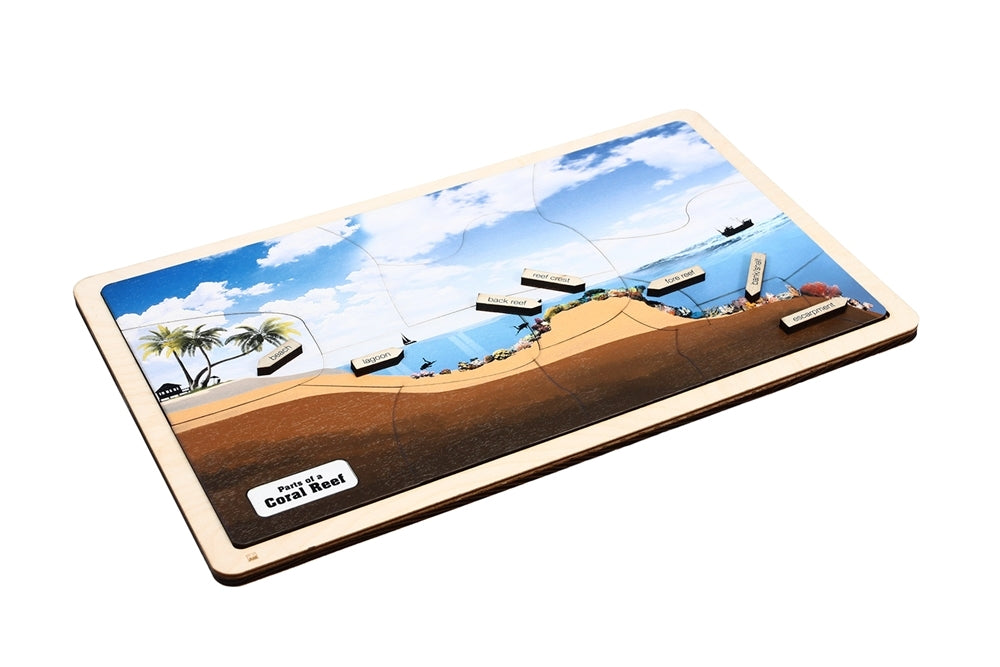 Parts of a Coral Reef Puzzle with Nomenclature Cards 3-6