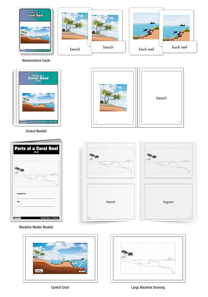 Parts of a Coral Reef Puzzle with Nomenclature Cards 3-6