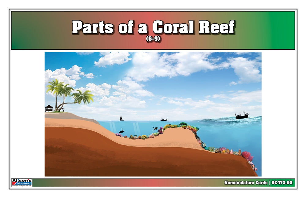 Parts of a Coral Reef Puzzle with Nomenclature Cards 6-9
