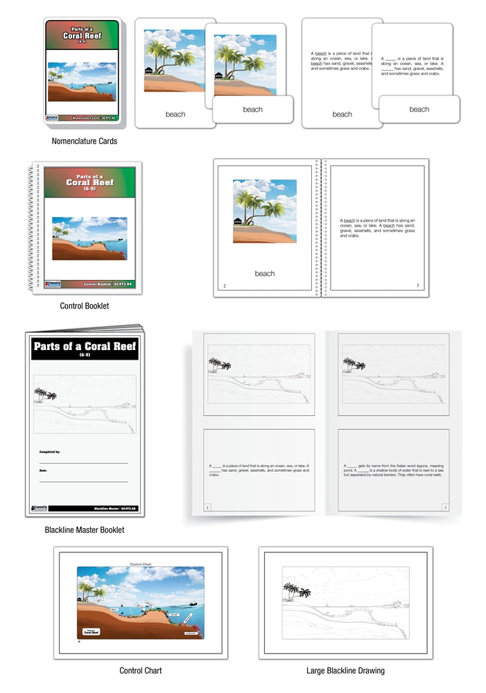 Parts of a Coral Reef Puzzle with Nomenclature Cards 6-9