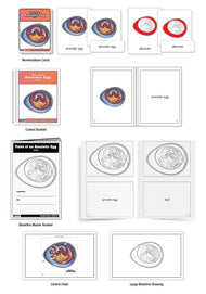 Parts of an Amniotic Egg Nomenclature Cards (3-6) (Printed)